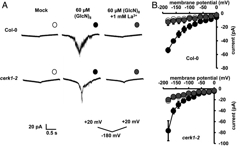 Fig. 8.