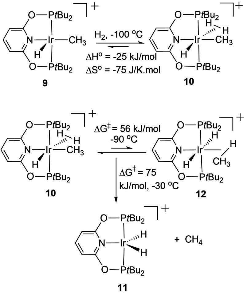 Scheme 13