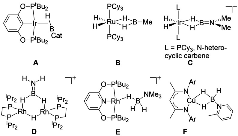 Scheme 5