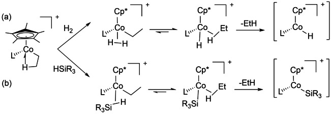 Scheme 17