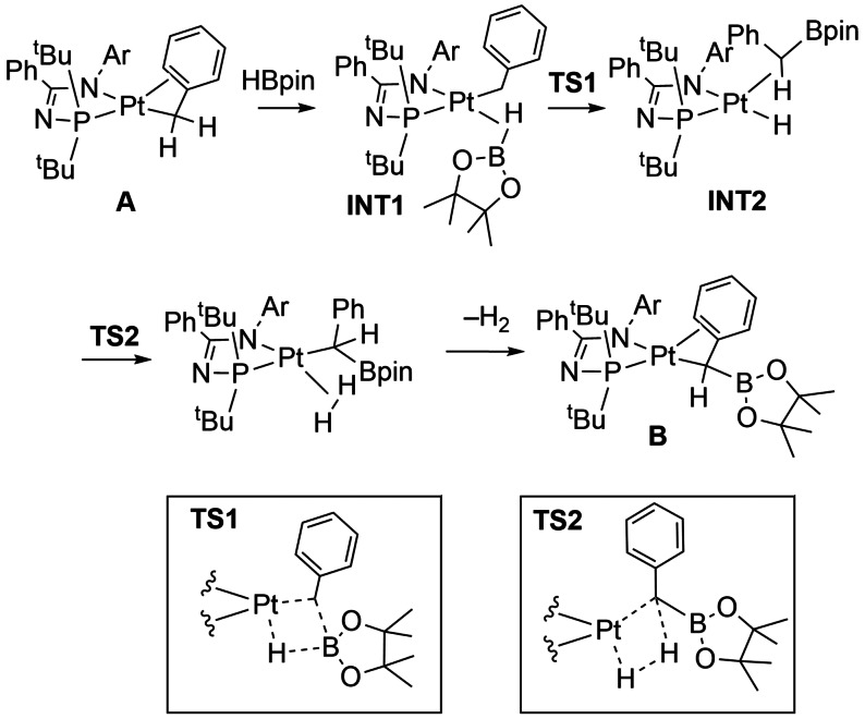 Scheme 20