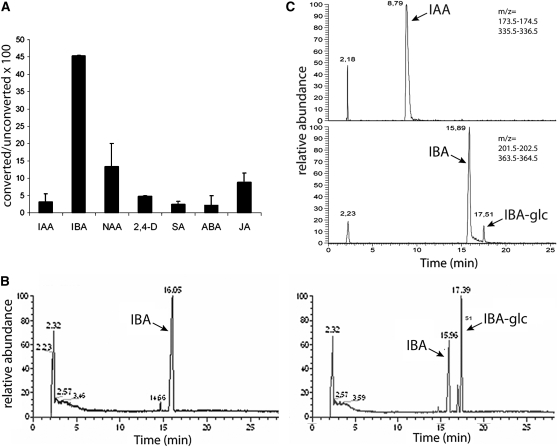 Figure 2.