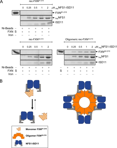 FIGURE 7.