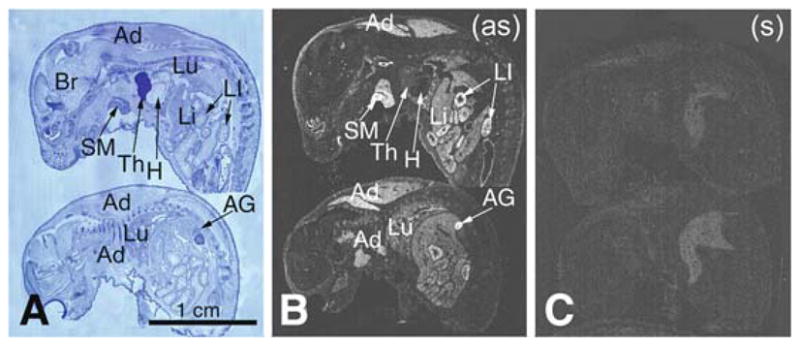 Fig. 1