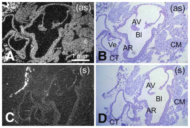 Fig. 11