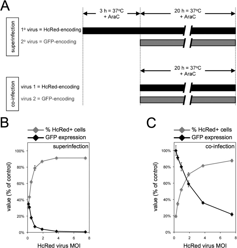 FIG 2