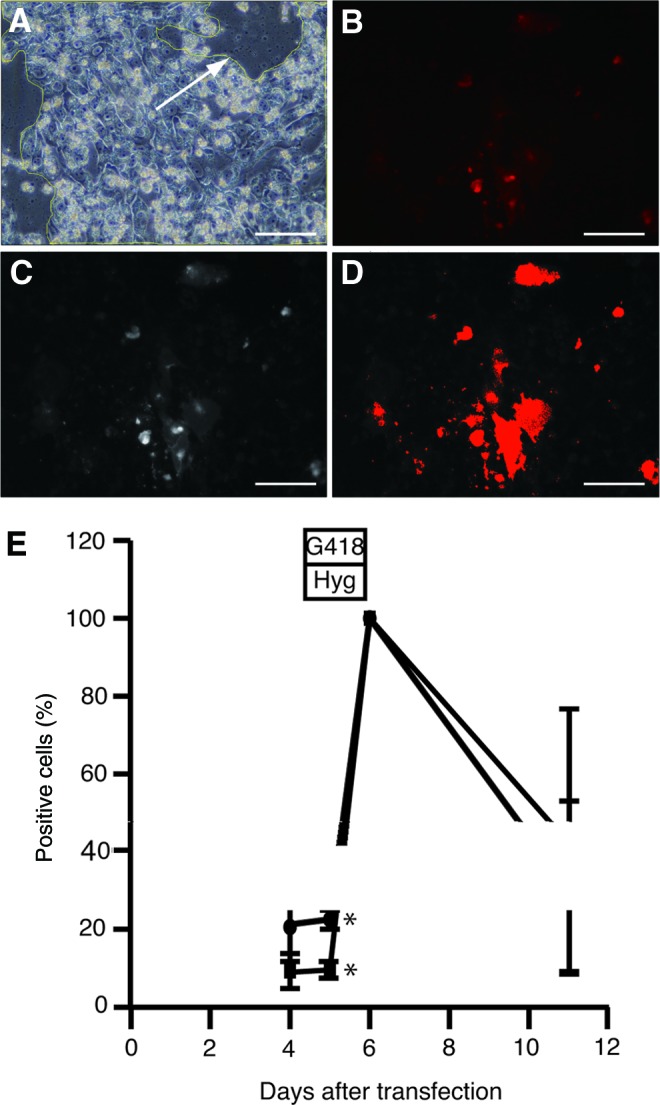 FIG. 4.