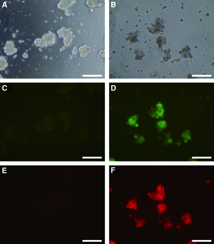 FIG. 6.