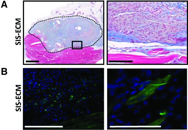 FIG. 8.