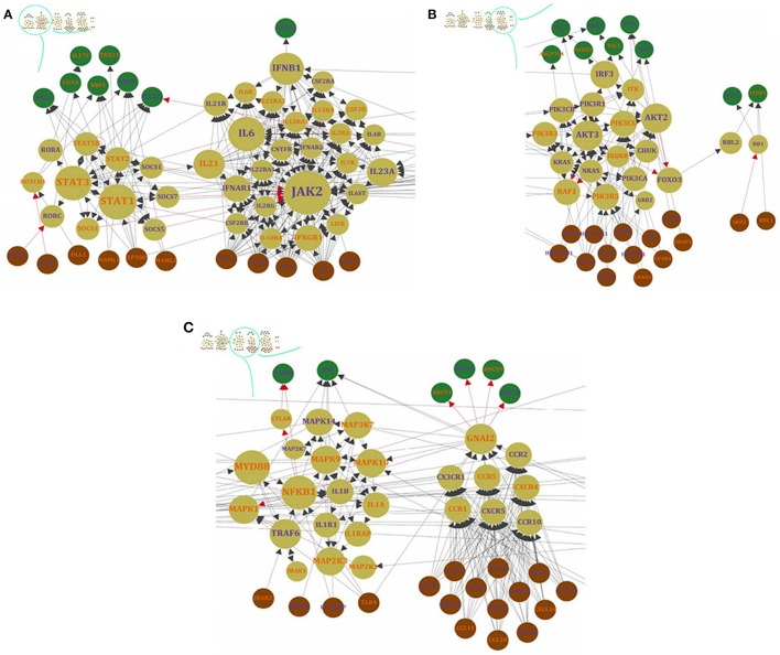 Figure 5