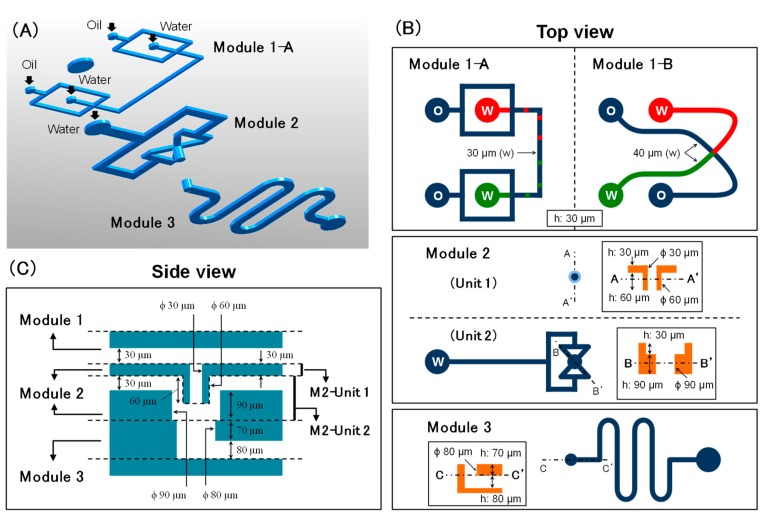 Figure 2