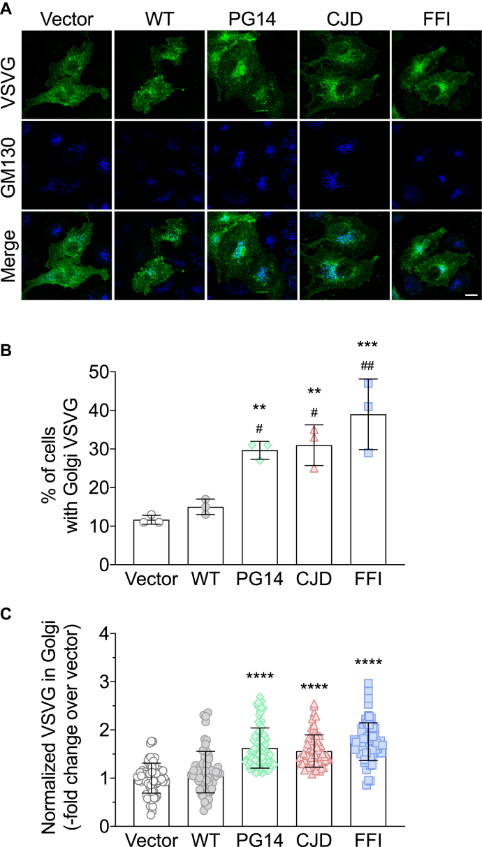 Figure 2