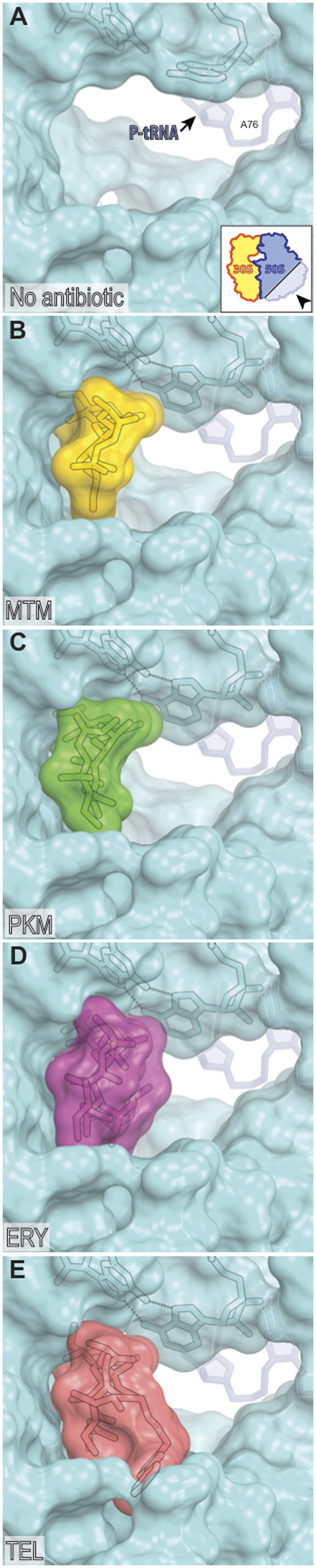 Figure 6.