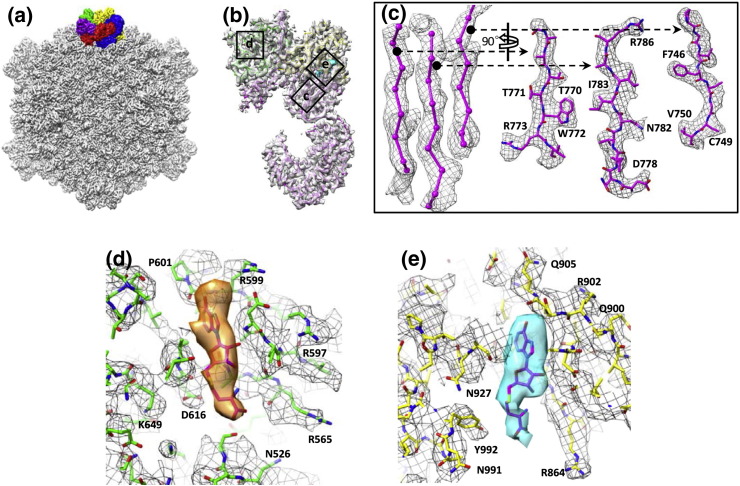 Fig. 1