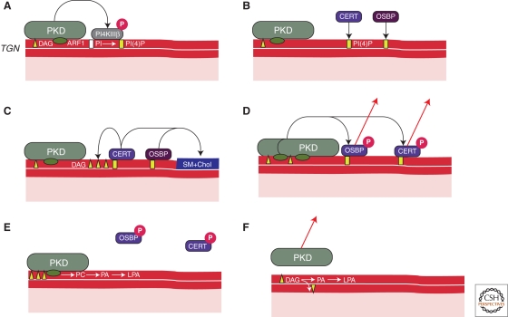 Figure 5.