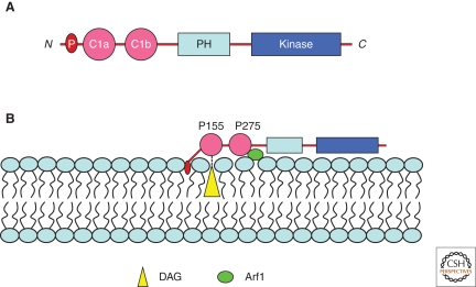 Figure 3.