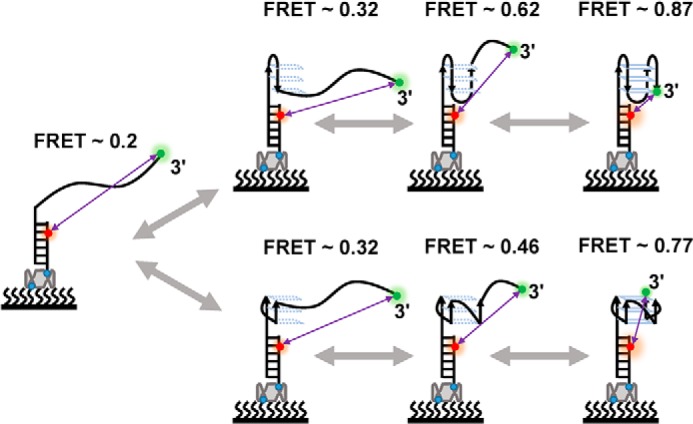 Figure 5.