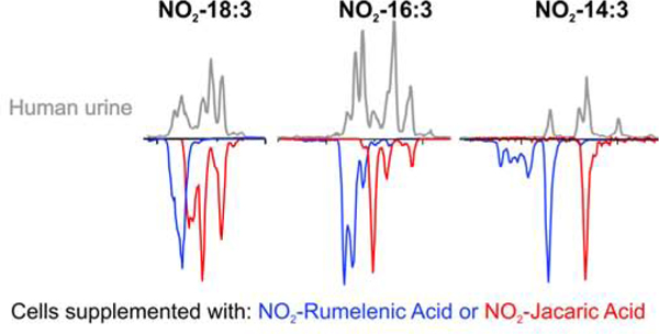 Fig 8.