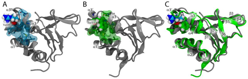 FIGURE 3