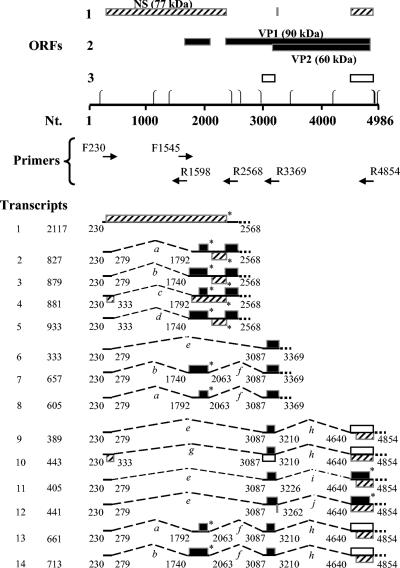 FIG. 2.