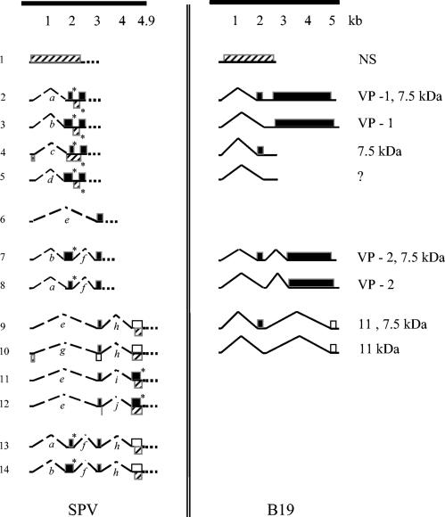 FIG. 5.