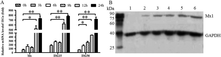 Fig. 6