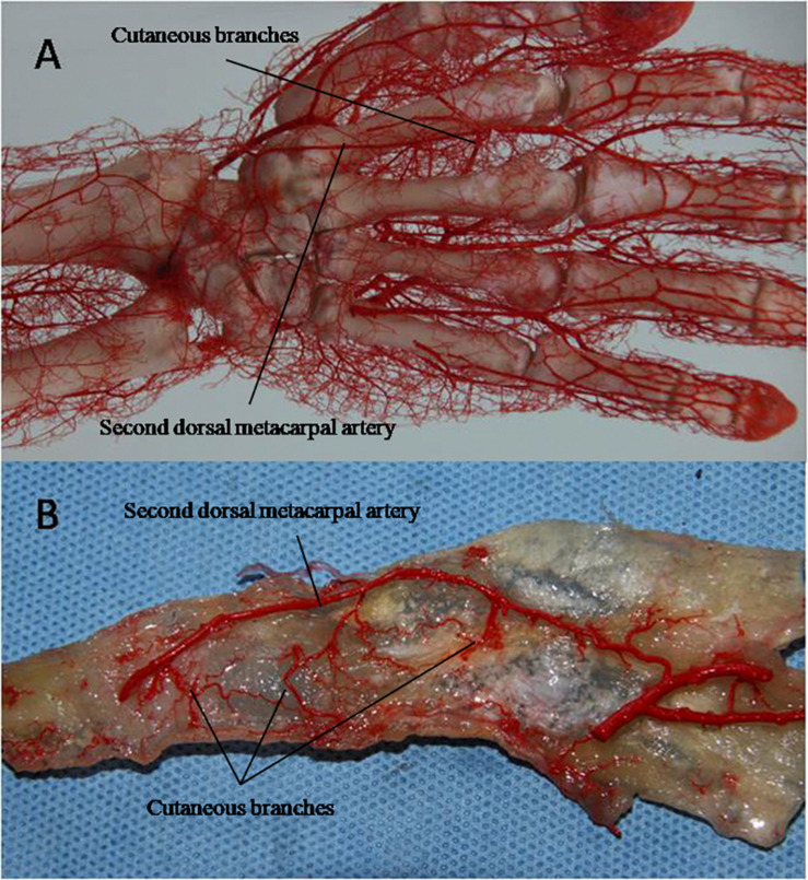 FIGURE 6