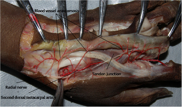 FIGURE 4