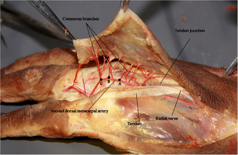 FIGURE 2