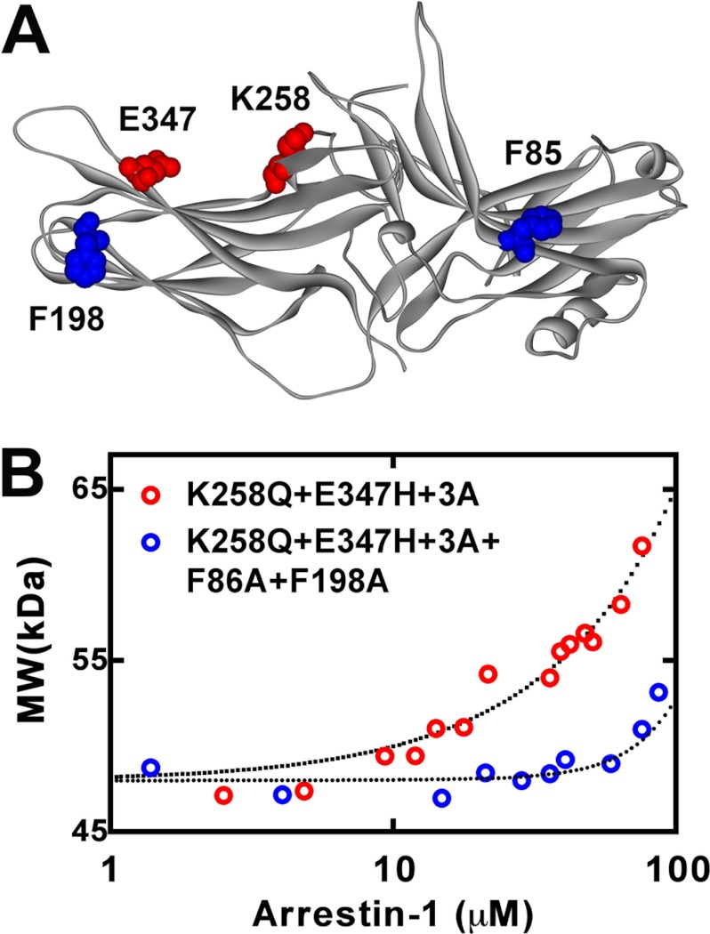 FIGURE 7.