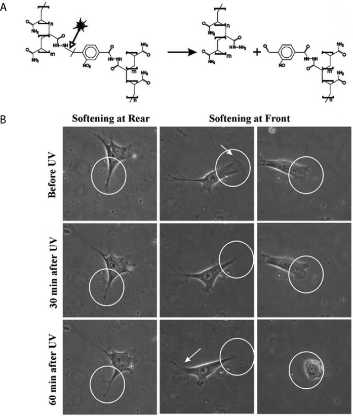 Fig. 18