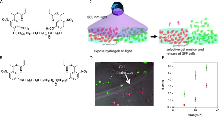 Fig. 13