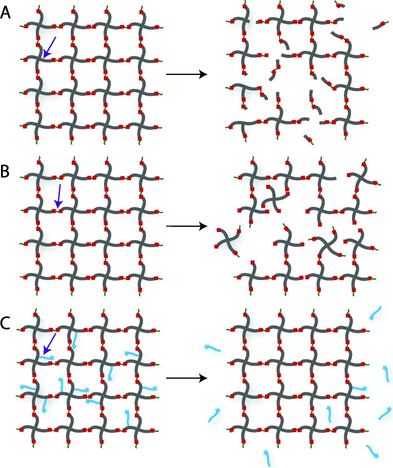 Fig. 10