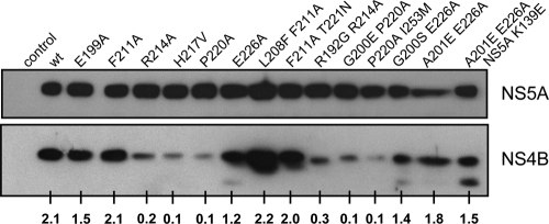 Fig. 5.