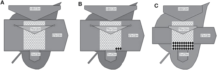 Fig. 8.