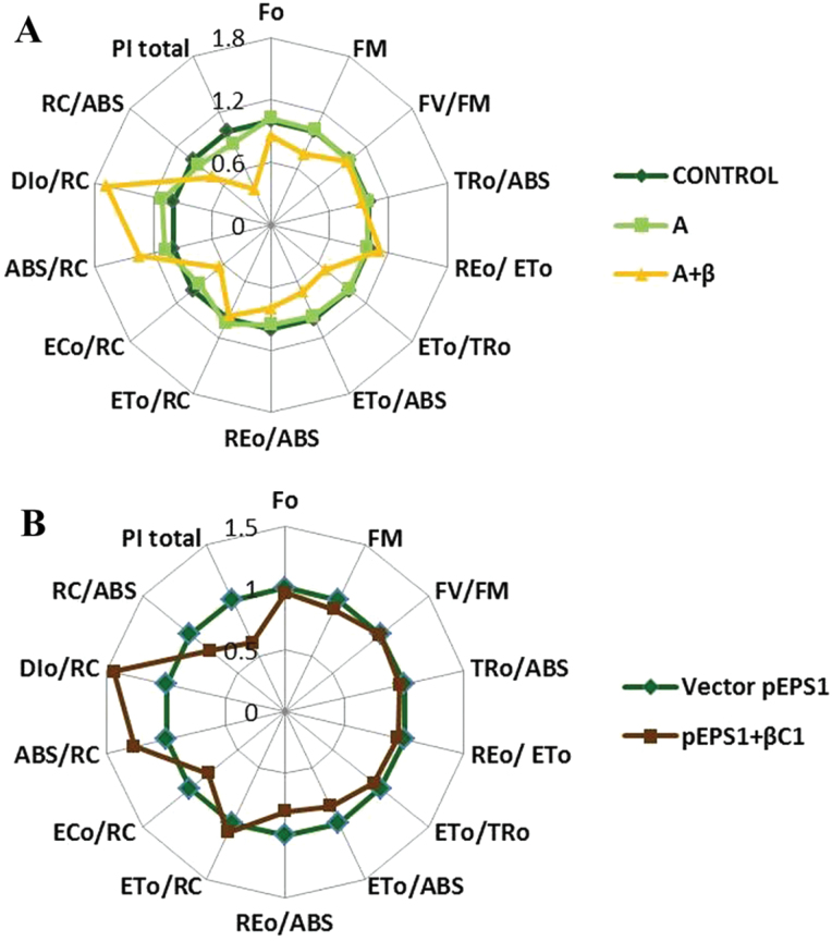 Fig. 7.