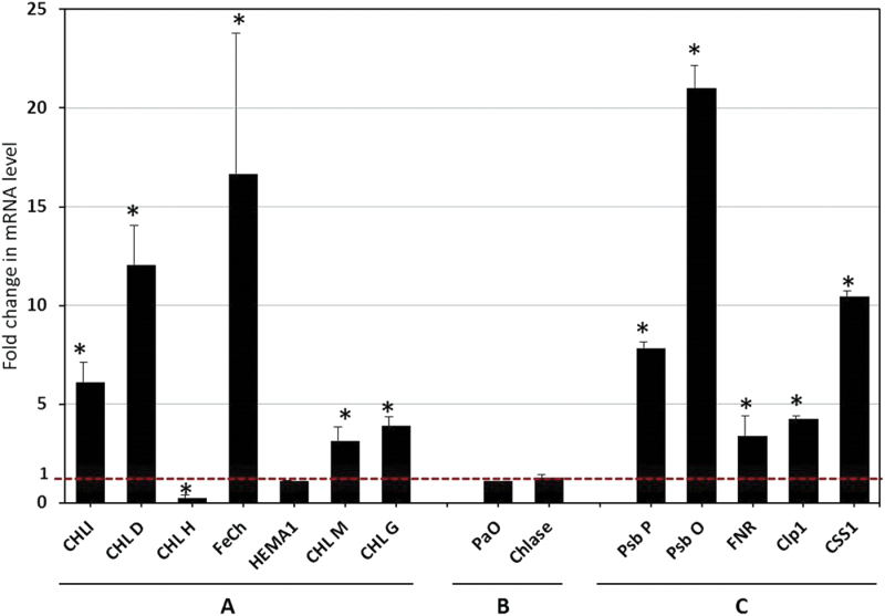 Fig. 11.