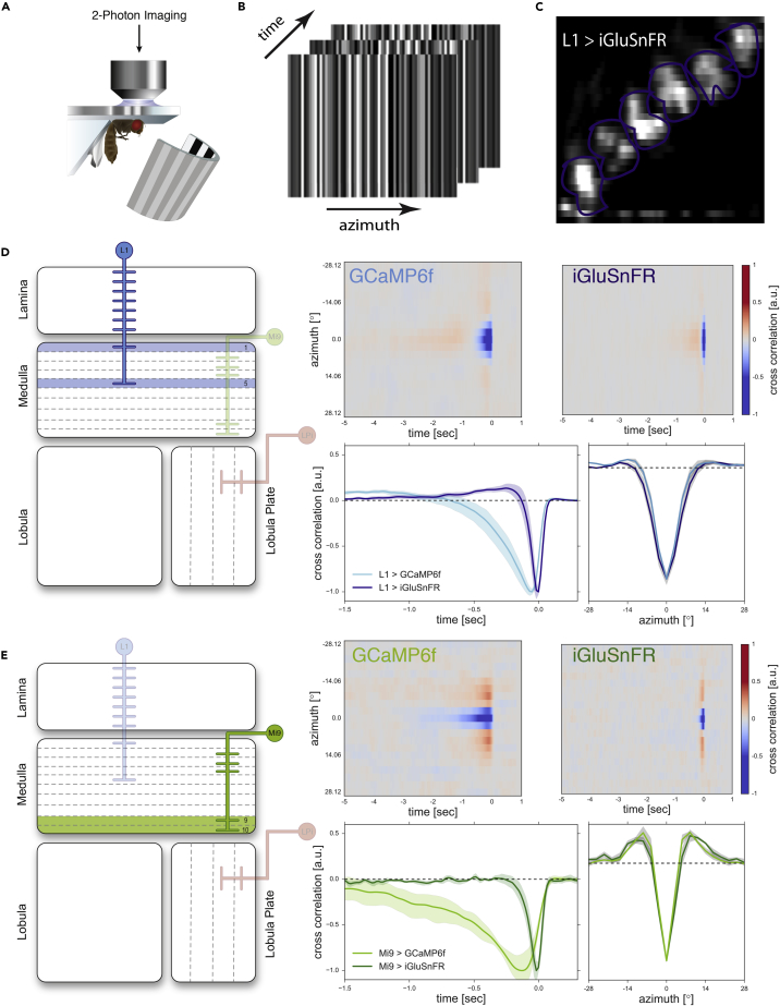 Figure 3