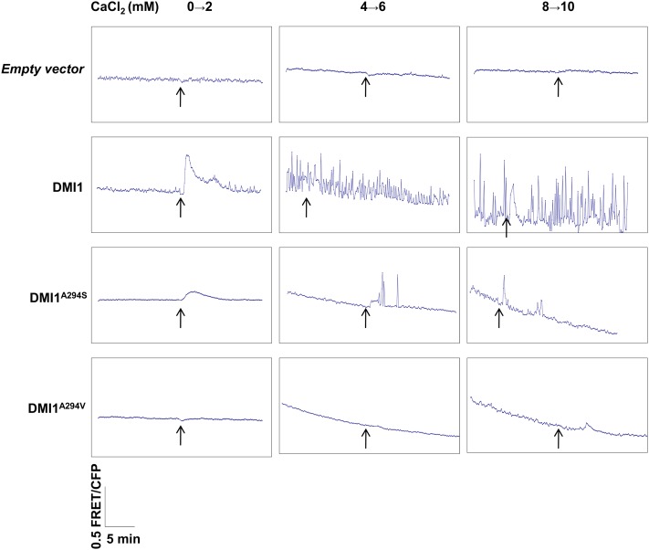 Figure 7.