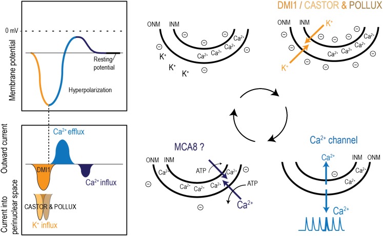 Figure 9.