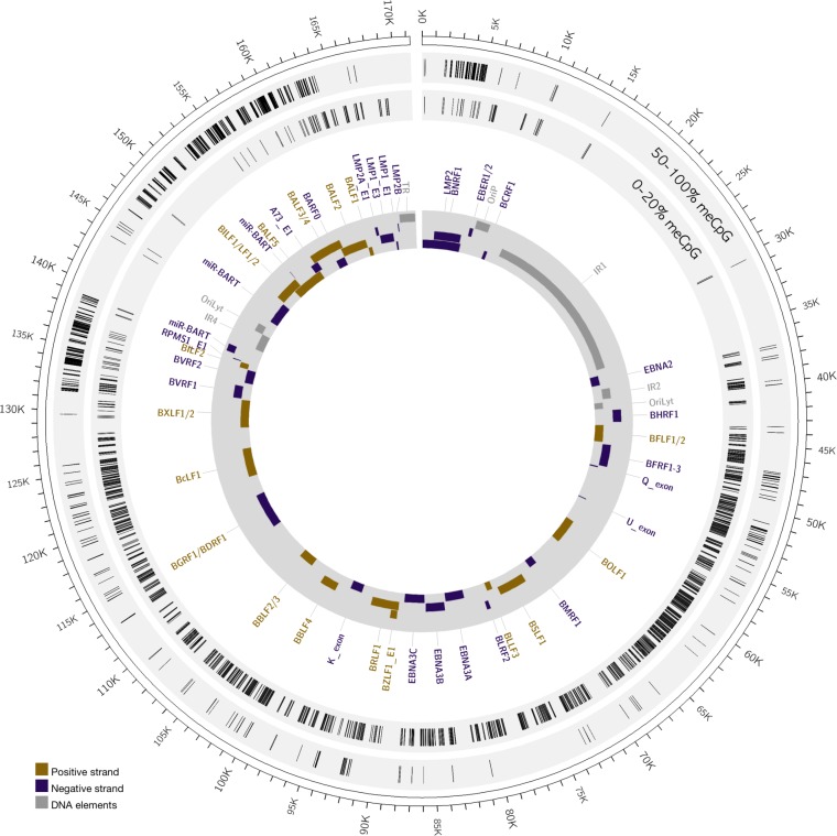 FIG 6