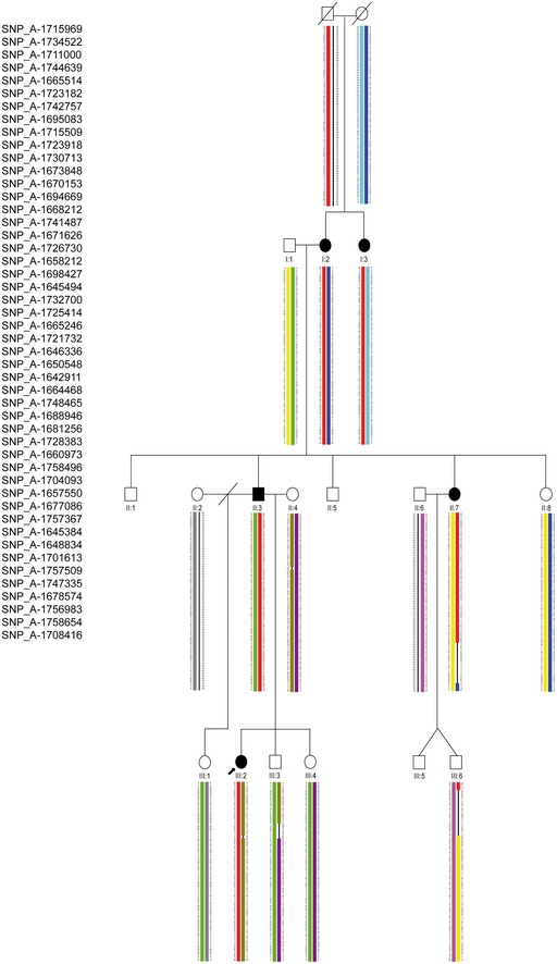 Figure EV3