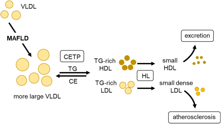 Figure 2