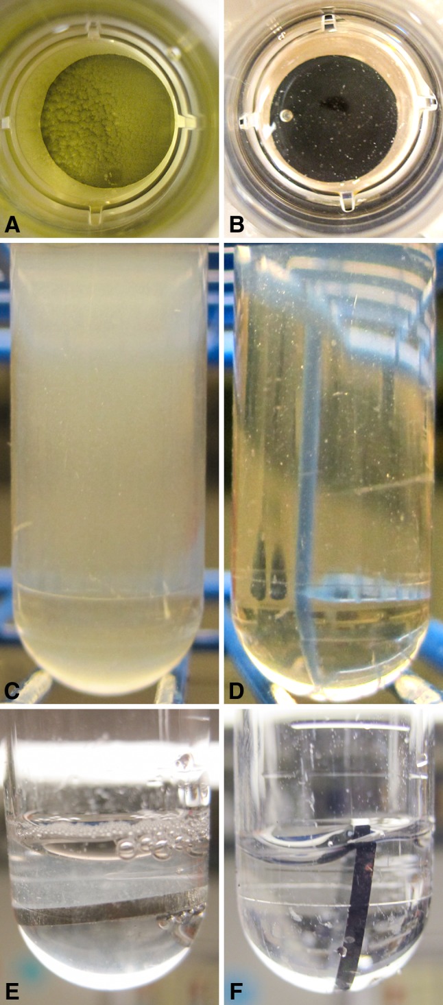 Fig. 5A–F