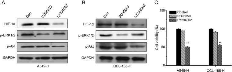 Figure 4.