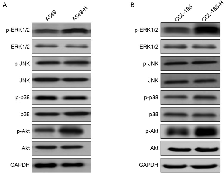 Figure 3.