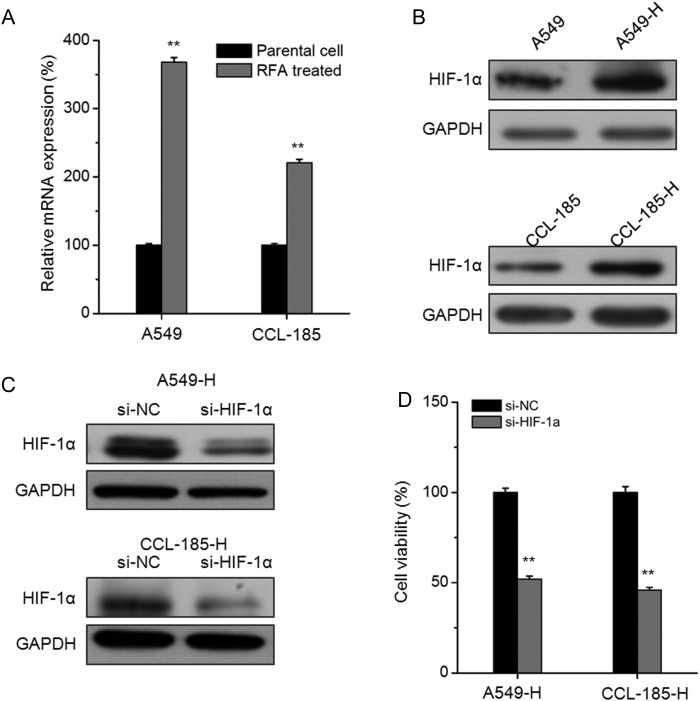 Figure 2.