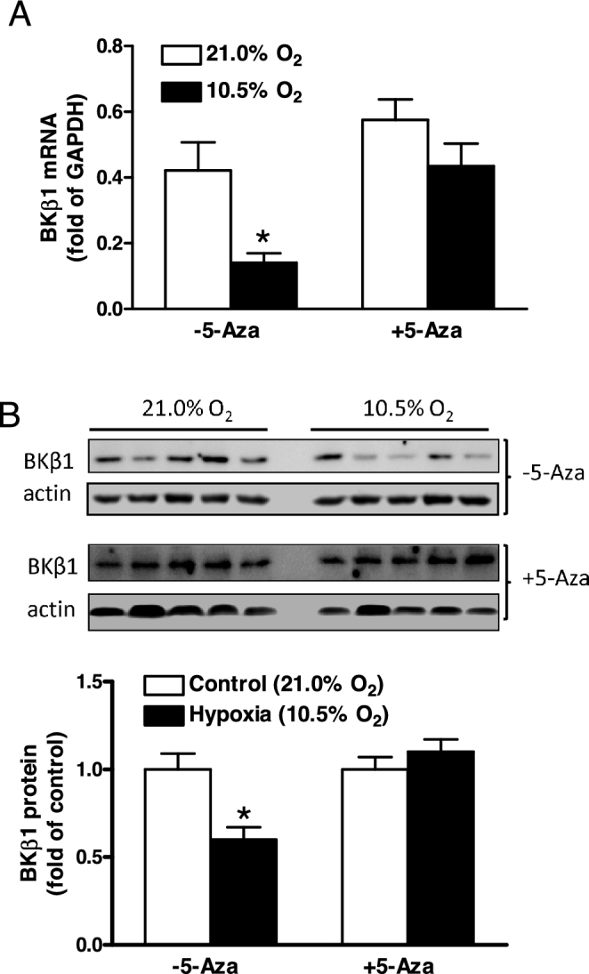 Figure 4.