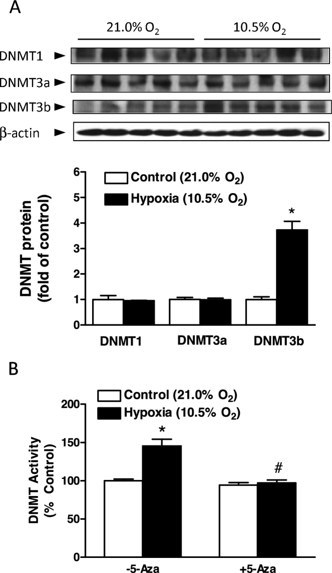 Figure 2.