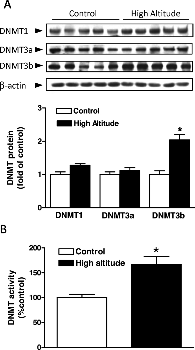 Figure 1.